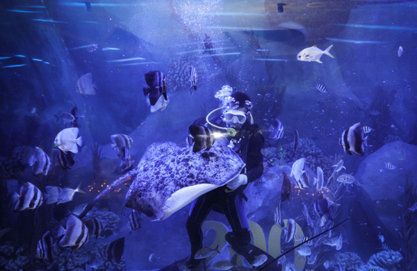 全镜面巨型环绕式鱼缸, 地下15层、-88米，全镜面巨型环绕式鱼缸，可以和6000条海洋生物共进晚餐。